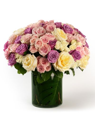 Heirloom Blush Roses