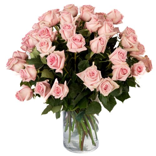 Four Dozen Soft Pink Roses 